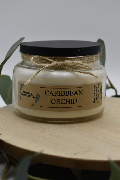 Caribbean Orchid